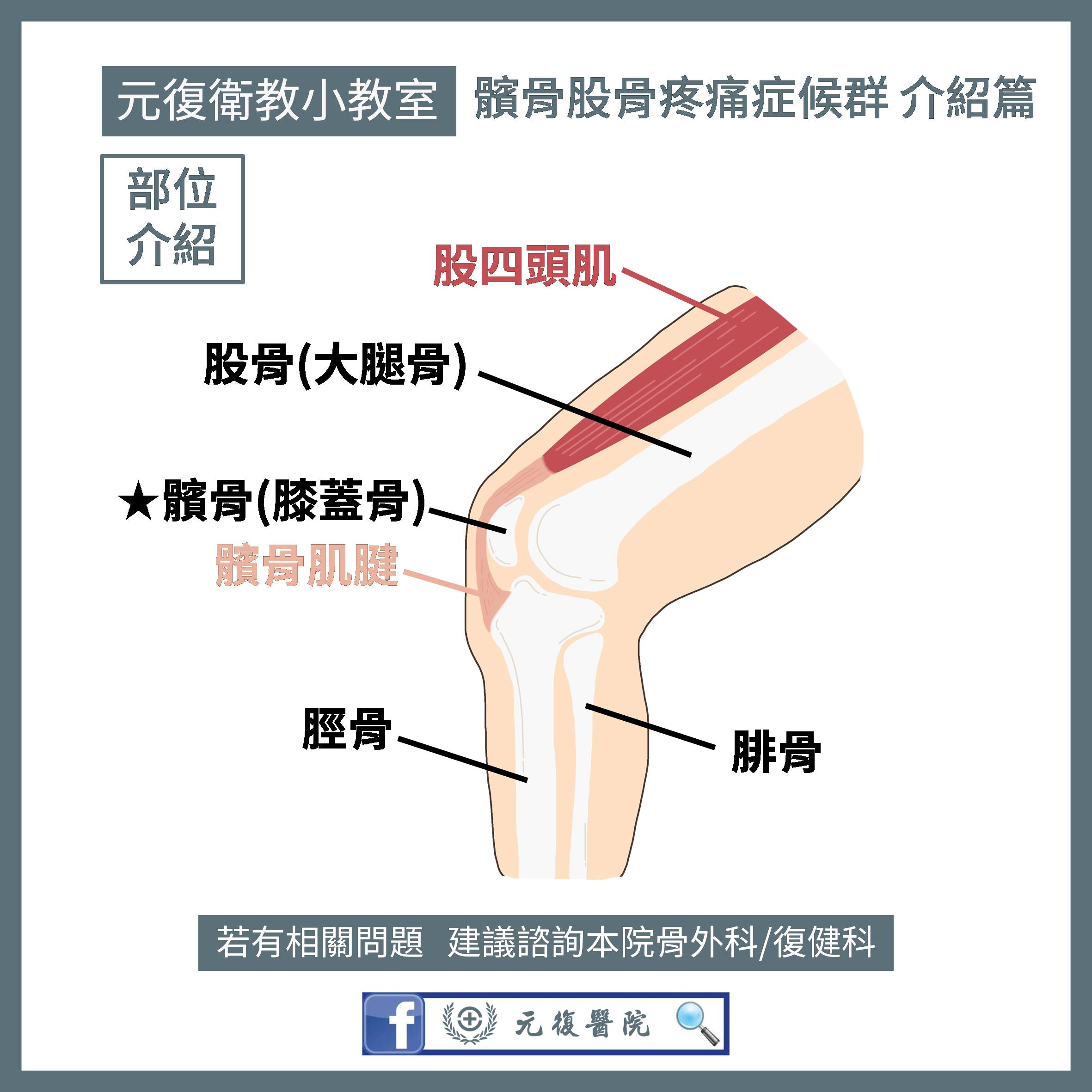 元復衛教小教室 / 重訓結束後總是膝蓋很痛？可能是髕骨股骨疼痛症候群！
