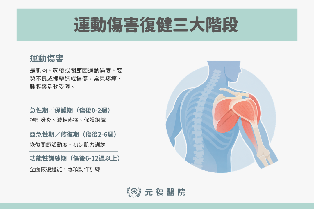 運動傷害復健的三個階段