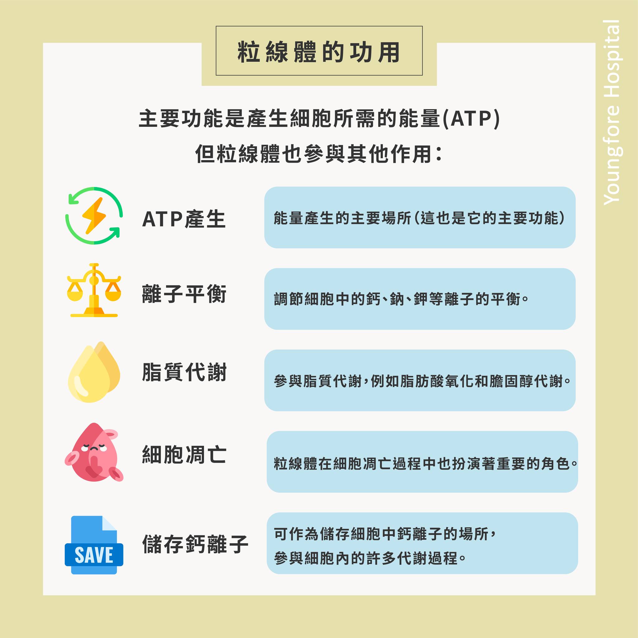 Healthtalk / 粒線體：身體細胞的發電廠